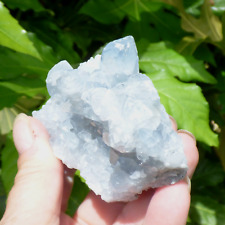 Sky Blue Celestite Crystal Cluster Geode Mineral Specimen 275g 9cm Raw Natural