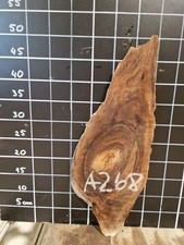 ITALIAN WALNUT LIVE EDGE SLAB