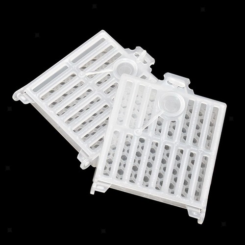 Set queen bee - set, of