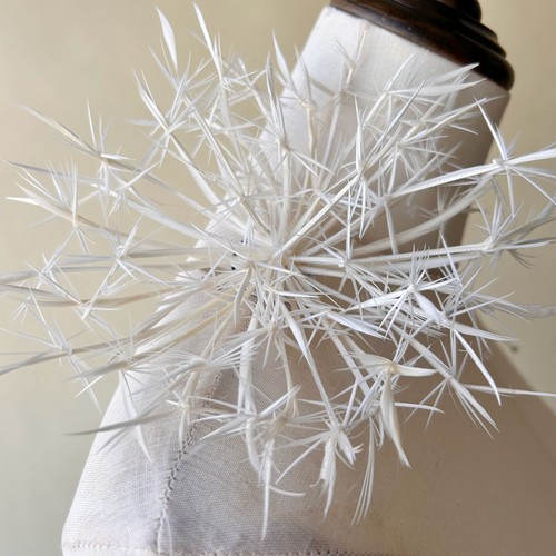 Feather fascinator for - feather,