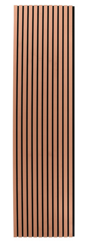 Blush rosewood acoustic - blush,