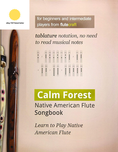Calm forest native american - native,