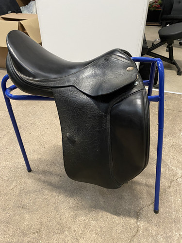 Harry dabbs jaguar dressage - dabbs,