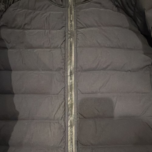 Canada goose hybridge - goose, cw