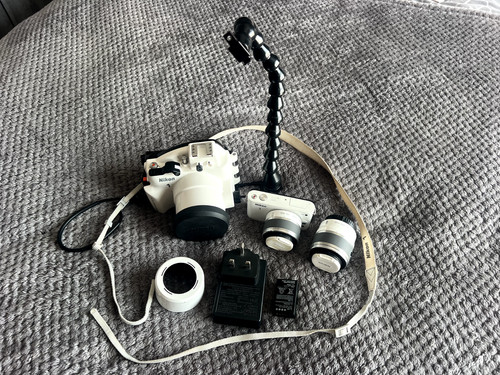 Nikon compact digital - nikon,