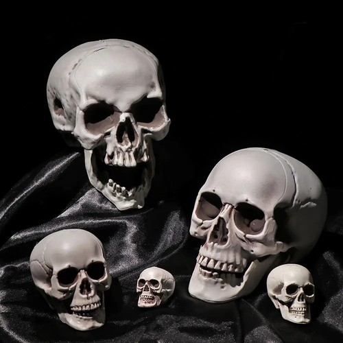 Halloween skull plastic - halloween,