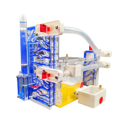 Diy ant farm with - with, area