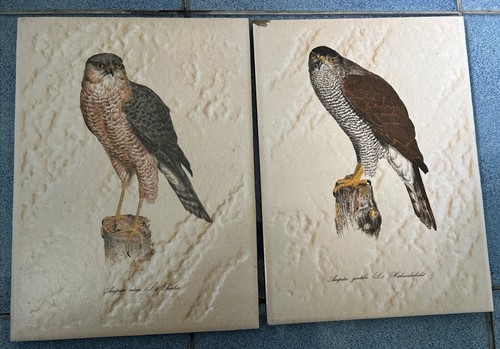 Two large italian ceramic - large,