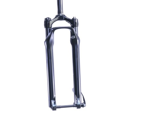Mtb fork thru axle - 29, 100
