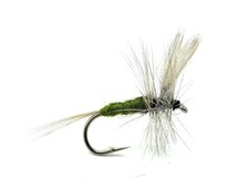 Blue winged olive - olive, flies