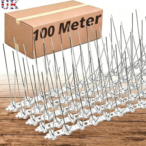 100m pigeon bird spikes - bird,
