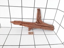 Fish tank driftwood aquarium - fish,