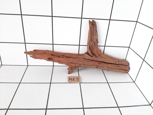 Fish tank driftwood - fish,