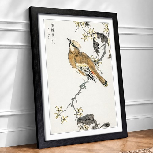 Waxwing bird yellow flowers - bird,