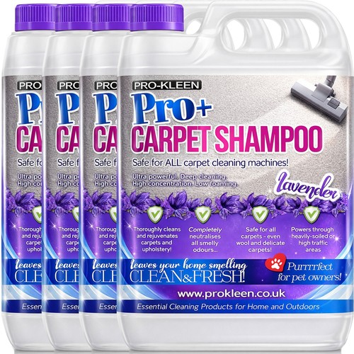 Professional carpet cleaning - carpet,