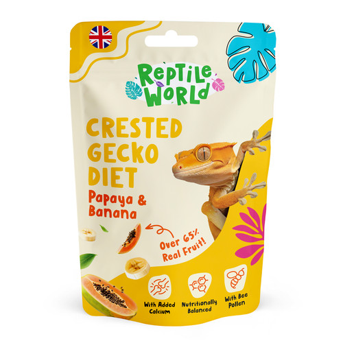 Reptile world crested - reptile,