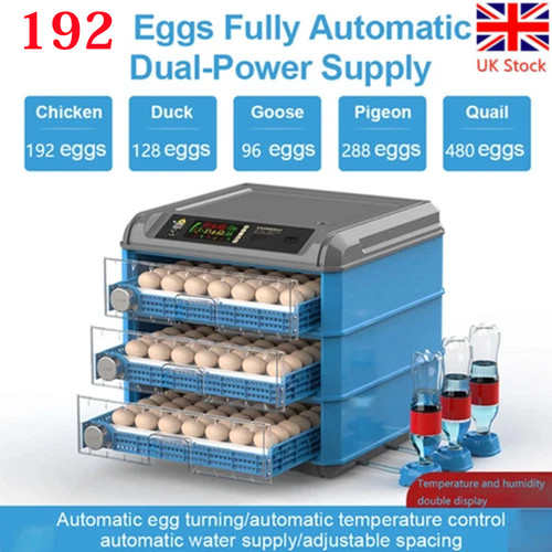 Digital automatic incubator - digital,