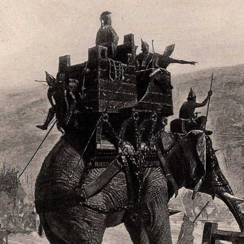 Ancient warrior elephants - ancient,