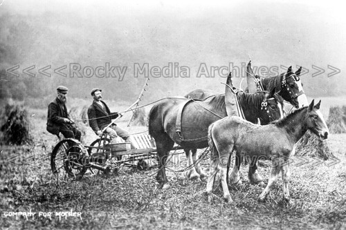 Wcc farming history rural - wcc-66, history,