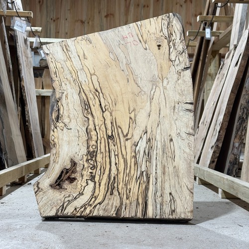 Spalted hornbeam plank - spalted,