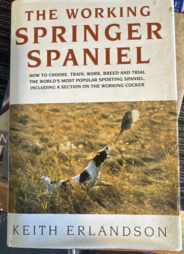 The working springer spaniel - working,