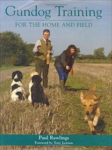 Gundog training for home - gundog, home/field