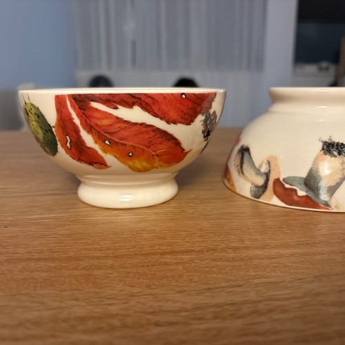 Emma bridgewater foraging - emma,