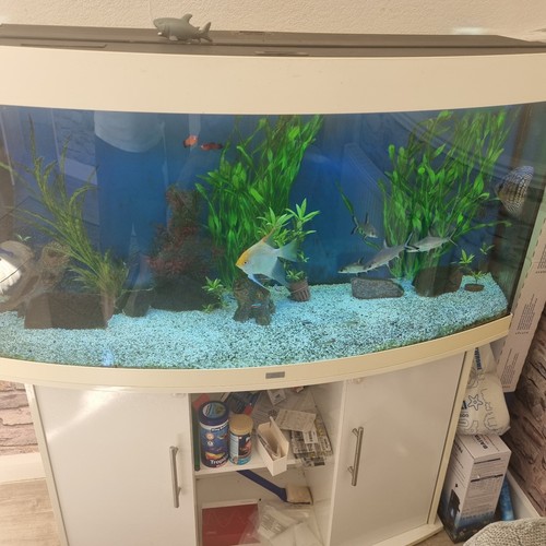 Juwel large fish tank - juwel,