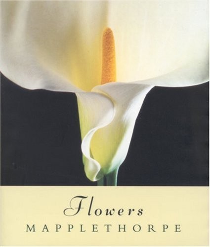 Flowers mapplethorpe robert - flowers,, mapplethorpe,