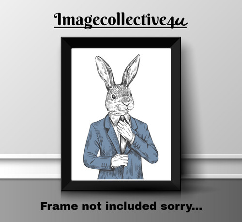 Rabbit animals pets a4 - , print