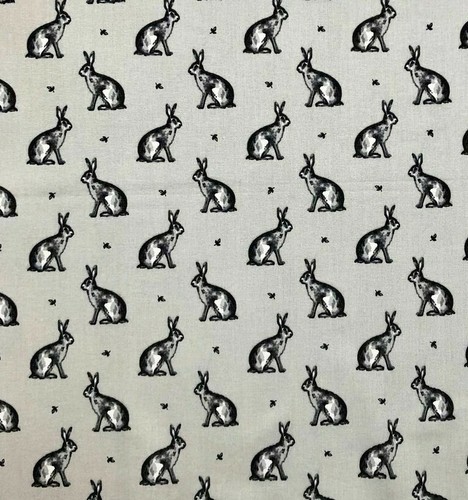 Lifestyle bunny rabbit grey - lifestyle,