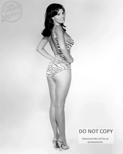 Raquel welch actress and - raquel,