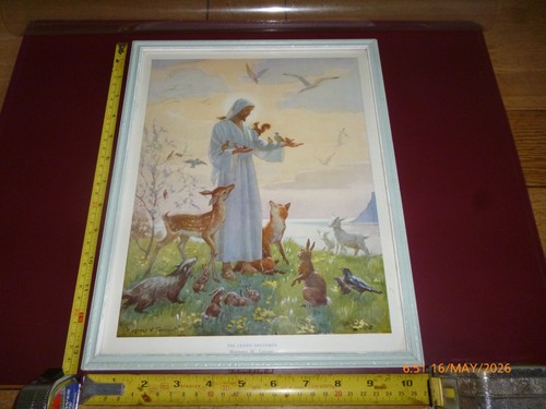 Margaret tarrant the lesser - the,