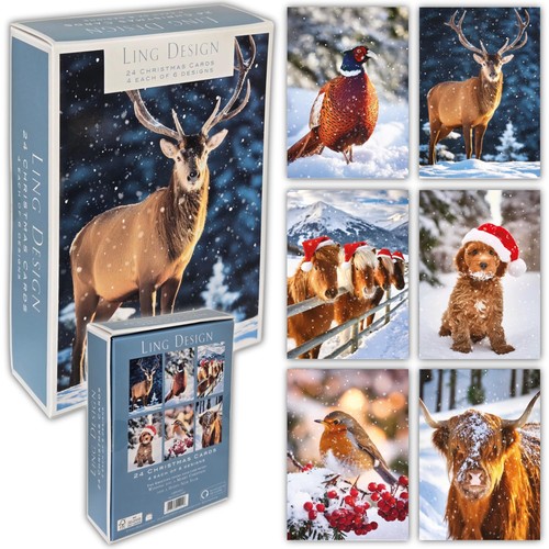 Winter animals box 24 - animals, of