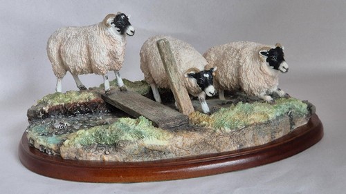 Border fine arts model - , sheep