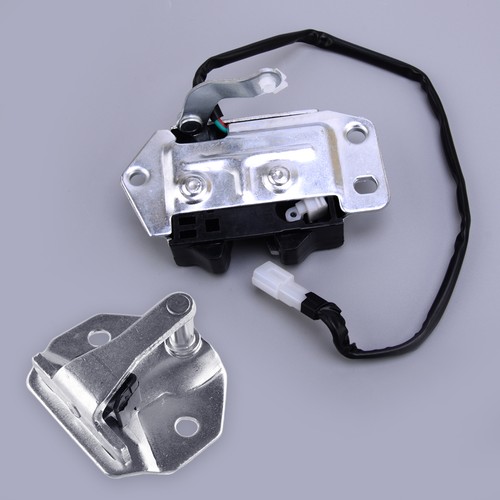Tailgate rear back door lock - door,