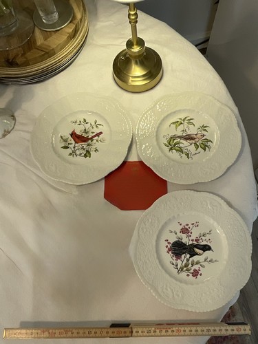 Royal cauldon wall plates - wall,