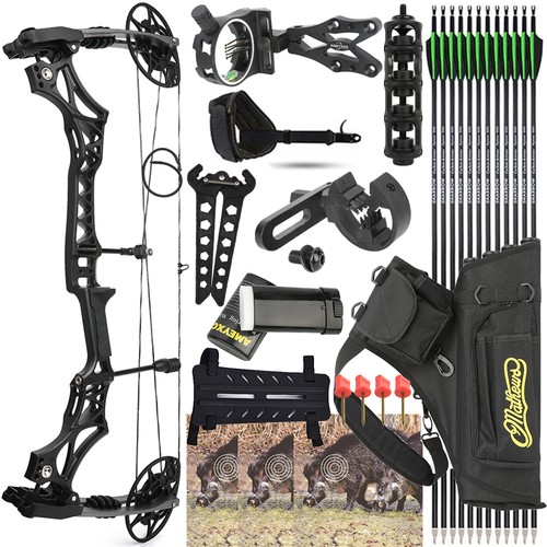 Compound bow carbon - bow,