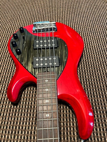 Ernie ball music - music, man