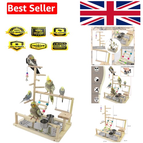 Bird playground parrot play - bird,