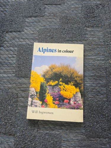 Alpines colour blandford - in,