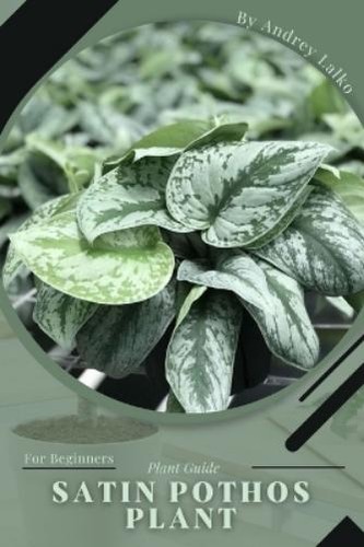 Andrey lalko satin pothos - lalko,