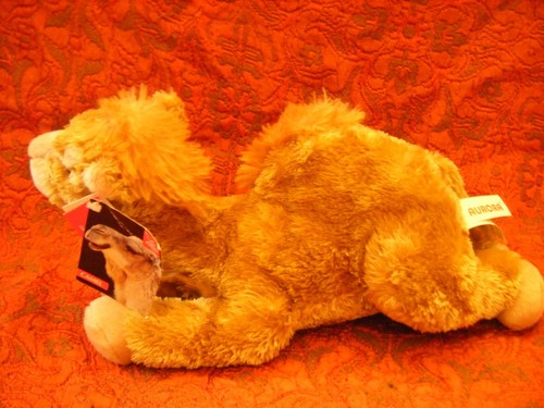 Aurora sahara camel soft toy - aurora,