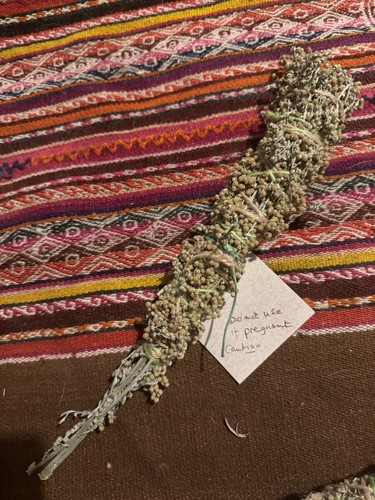 Artemisia absinthe wand - artemisia,