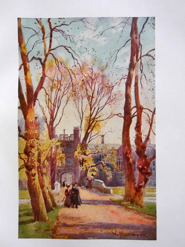Edwardian cambridge print - edwardian,