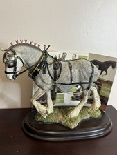 Country Artists Shire Gelding