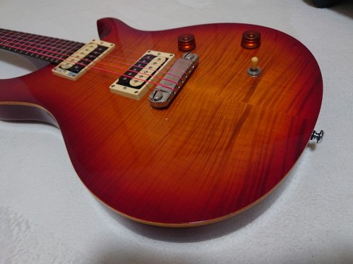 Prs custom soft case - 24,