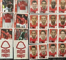 Panini Championship 2010