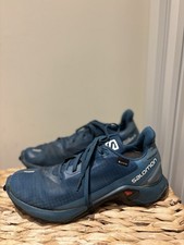 Salomon Alphacross 3 GTX Teal