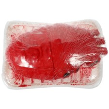  Human Body Part Fake Organ